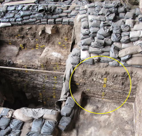 世界最古のマットレス発掘調査
