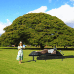 簡易ベッド（折り畳みベッド）のメリット・デメリットと売れ筋ランキングベスト5は？