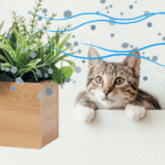 日本で使うにベッドは、床板がすのこ仕様の「すのこベッド」が最適です。