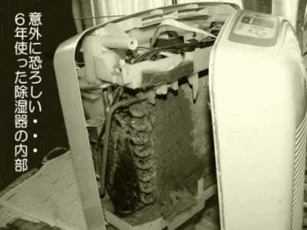 6年使った除湿機の内部もこの通り