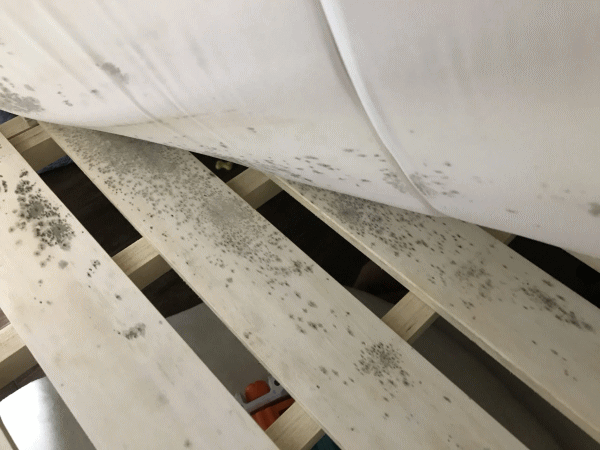 湿気対策を怠るとカビが生える