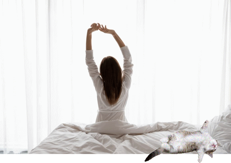 心地よい眠りはマットレスから